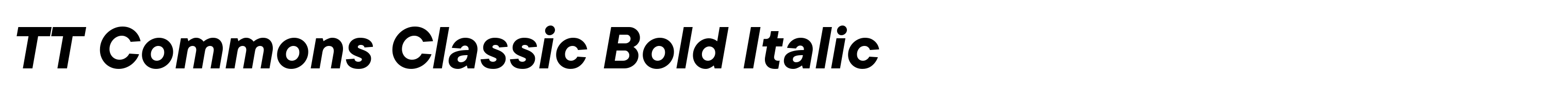 TT Commons Classic Bold Italic
